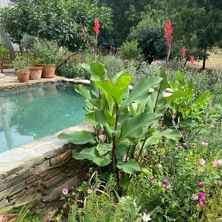 Quinta Do Brejo アパート Vila Cova a Coelheira (Guarda)