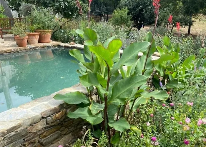 Quinta Do Brejo شقة Vila Cova a Coelheira (Guarda)